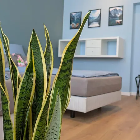 100 Qm Raumwunder Inmitten Der Altstadt