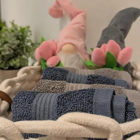 100 Qm Raumwunder Inmitten Der Altstadt Lägenhet