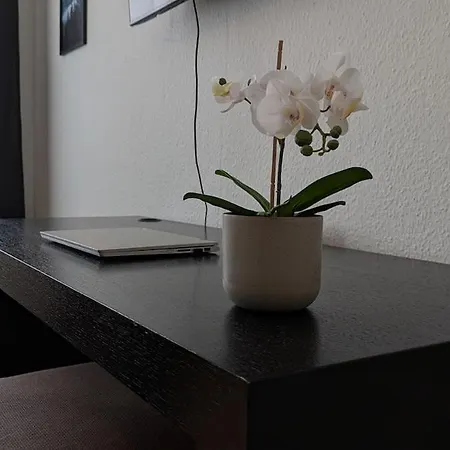 100 Qm Raumwunder Inmitten Der Altstadt Appartement