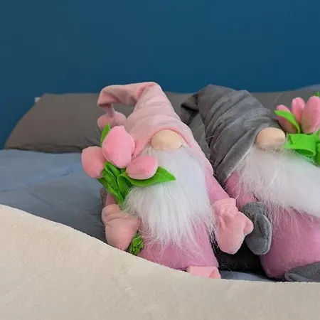 100 Qm Raumwunder Inmitten Der Altstadt *