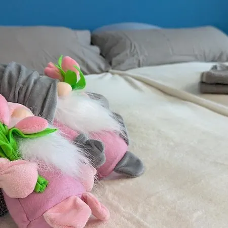 Appartement 100 Qm Raumwunder Inmitten Der Altstadt Koblenz (Rhineland-Palatinate)