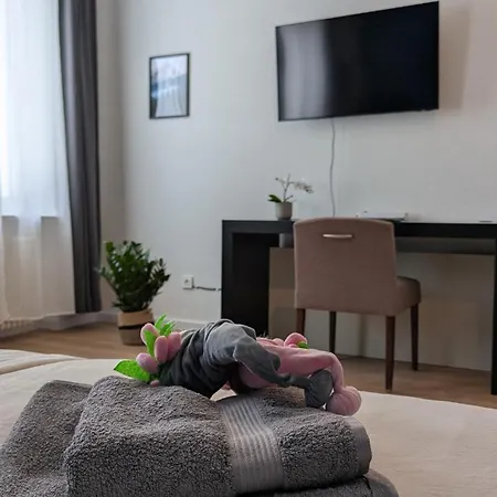 100 Qm Raumwunder Inmitten Der Altstadt Koblenz (Rhineland-Palatinate)