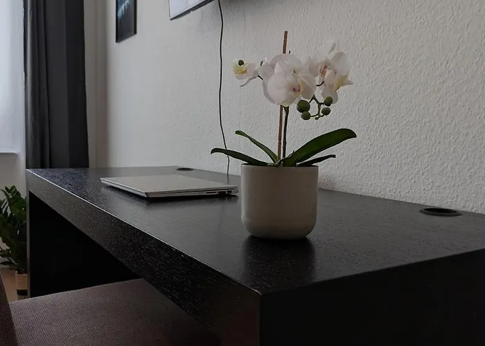 100 Qm Raumwunder Inmitten Der Altstadt Lägenhet